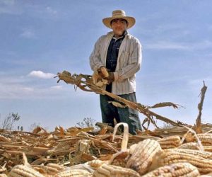 El incrédulo don José