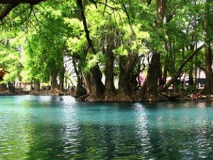El Lago de Camécuaro