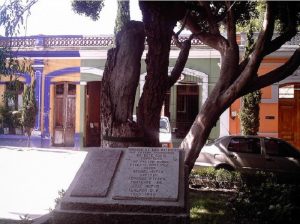 El Árbol de los Colgados de Tlalpan