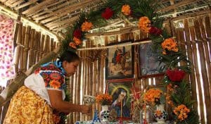 El Altar de Muertos y la Ofrenda