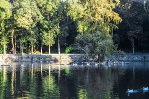 Las Fuentes Brotantes de Tlalpan hoy en día.